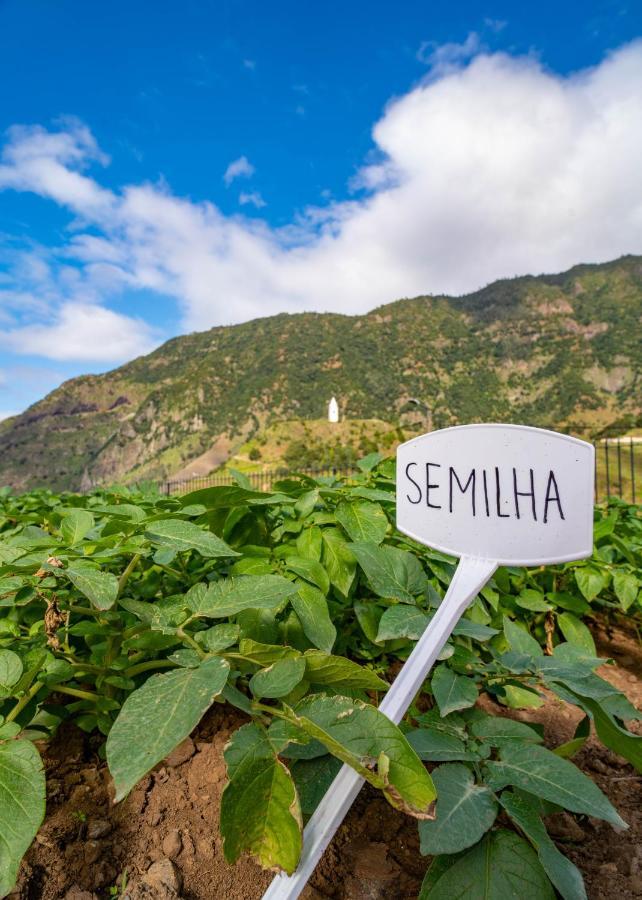 Quinta Vale Vitis Villa São Vicente Kültér fotó