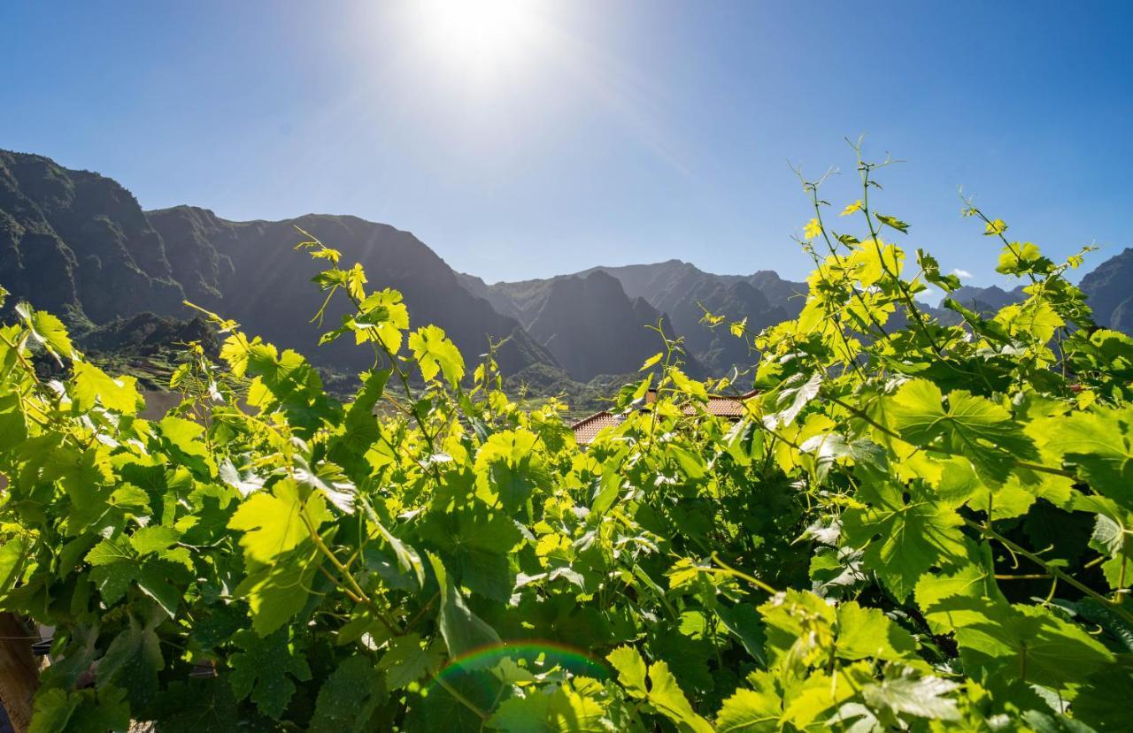 Quinta Vale Vitis Villa São Vicente Kültér fotó