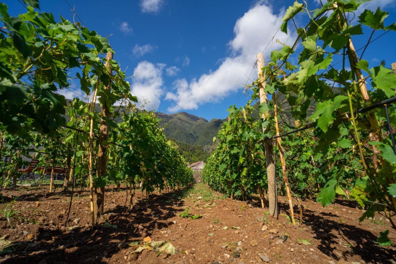 Quinta Vale Vitis Villa São Vicente Kültér fotó